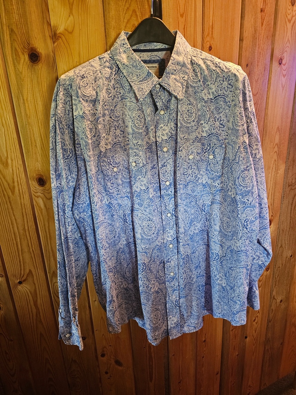 Panhandle Slim Blue Paisley Button-Down Shirt - Mens